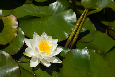 Similar image 411015