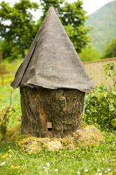 Similar image 411040