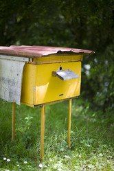 Similar image 411041