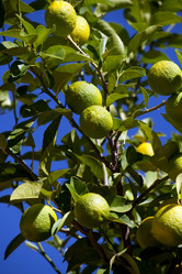 Similar image 411049