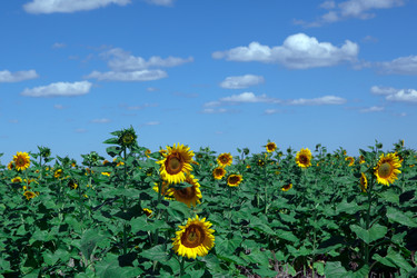 Similar image 411059