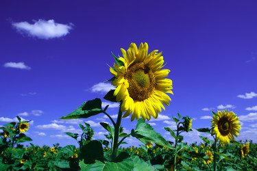 Similar image 411064