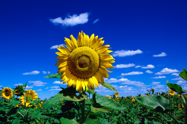 Similar image 411066