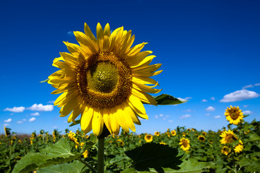 Similar image 411067