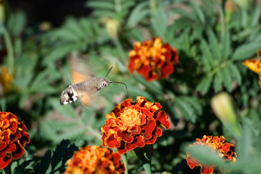 Similar image 411079