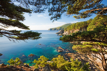 Similar image 411131