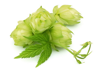 Similar image 411367