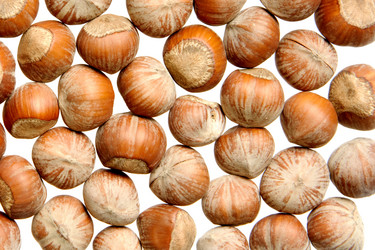 Similar image 411369