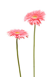 Similar image 411380