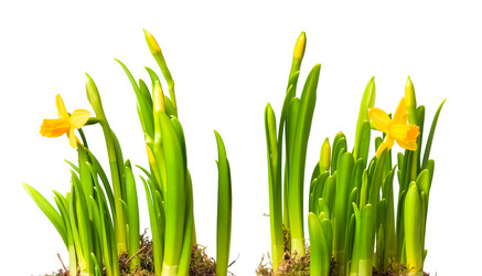 Similar image 411383