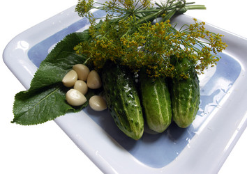 Similar image 411454