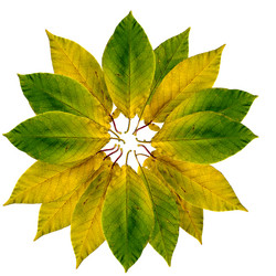 Similar image 411455