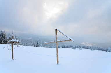 Similar image 411575