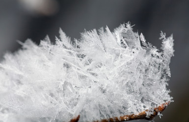 Similar image 411578