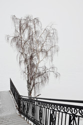 Similar image 411718