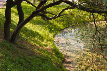 Similar image 411723