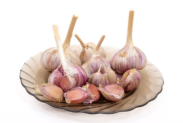 Similar image 411746