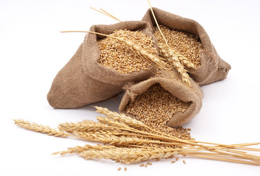 Similar image 411904