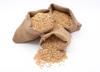 Similar image 411905