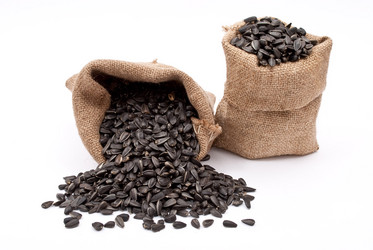 Similar image 411906