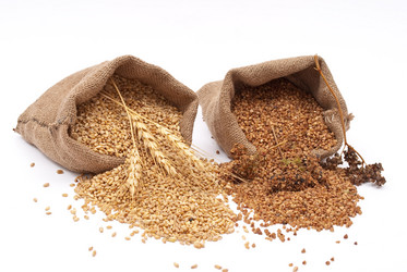 Similar image 411919