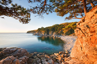 Similar image 411922