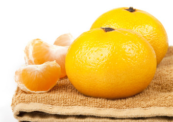 Similar image 412005