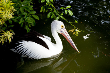 Similar image 412046