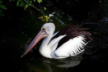 Similar image 412047