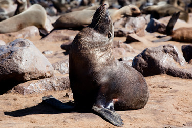 Similar image 412099