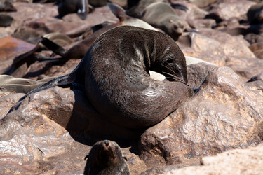 Similar image 412100