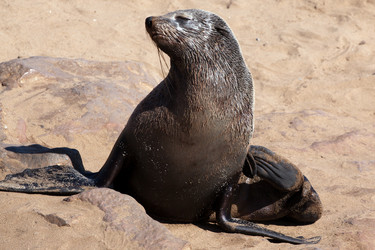 Similar image 412102