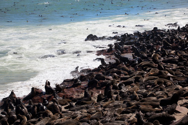 Similar image 412103