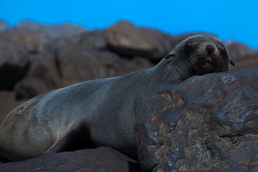 Similar image 412108