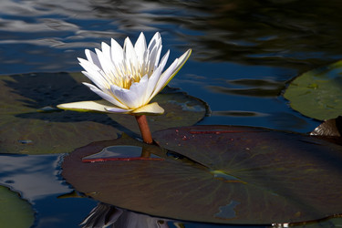 Similar image 412128