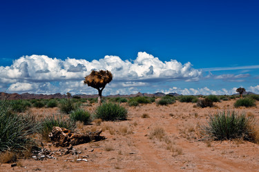 Similar image 412136