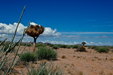 Similar image 412137