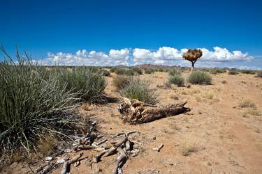 Similar image 412141