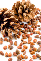 Similar image 412217