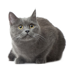 Similar image 412230