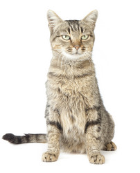 Similar image 412235