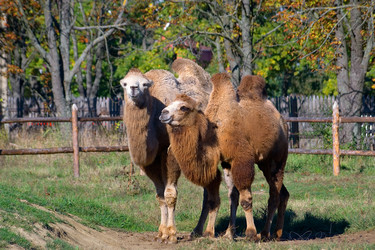 Similar image 412248