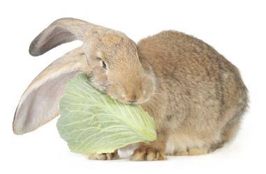 Similar image 412258