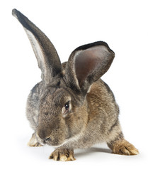 Similar image 412262