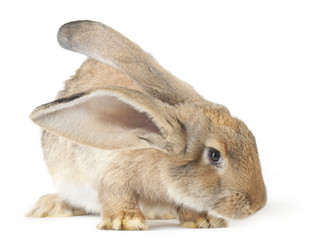 Similar image 412263