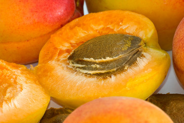 Similar image 412266