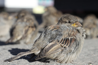 Similar image 412308