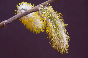 Similar image 412311