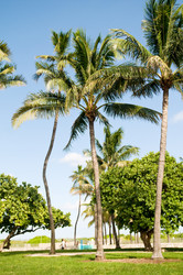 Similar image 412645