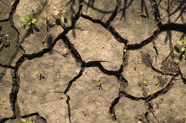 Similar image 412687